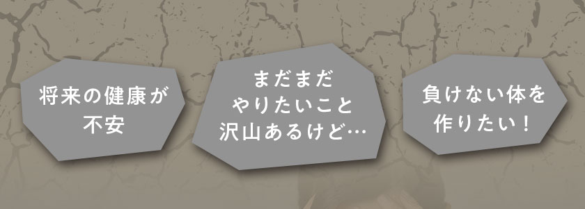 核酸 1000　プレミアム