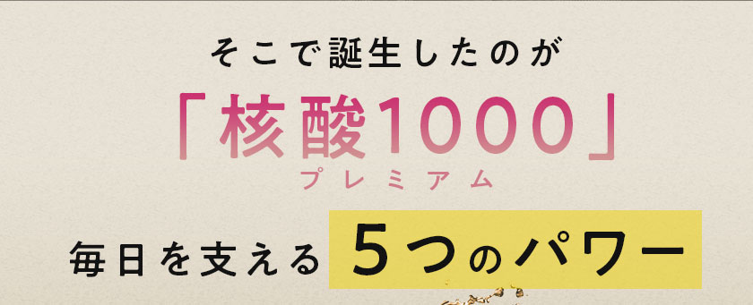 核酸 1000　プレミアム