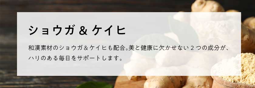 核酸 1000　プレミアム