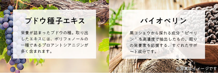 核酸 1000　プレミアム