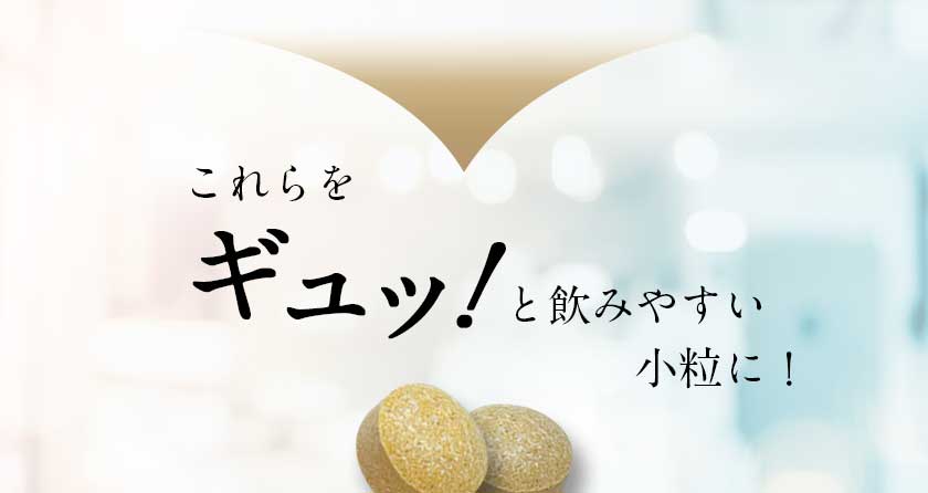 核酸 1000　プレミアム