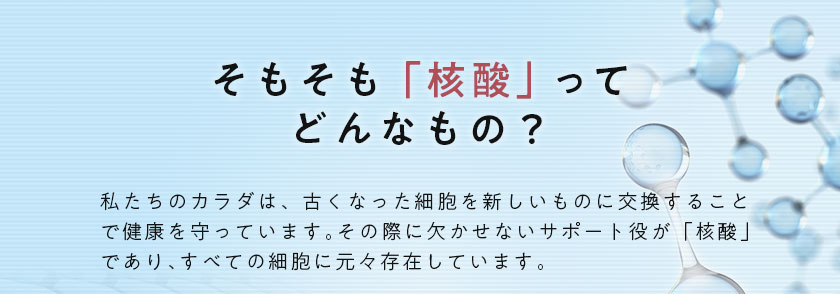 核酸 1000　プレミアム