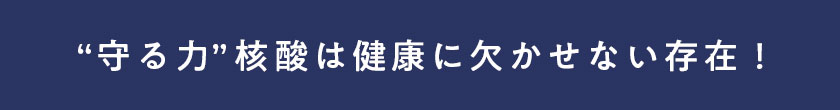 核酸 1000　プレミアム
