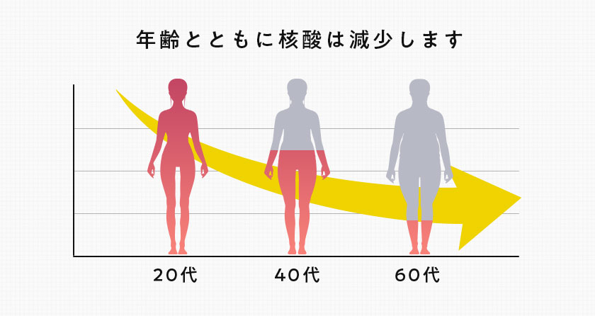 核酸 1000　プレミアム