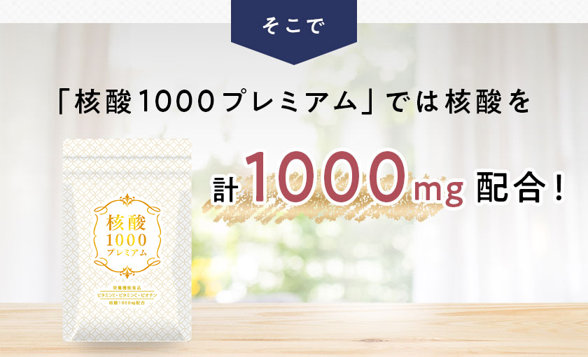 核酸 1000　プレミアム
