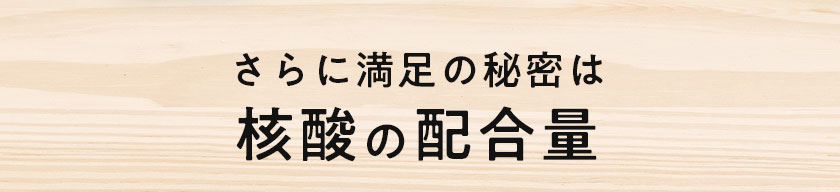 核酸 1000　プレミアム